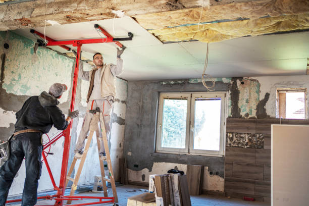 Best DIY Insulation Kits and Guidance in Madison Heights, VA