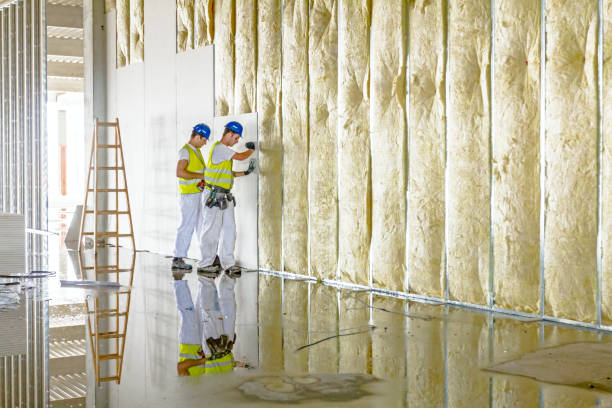 Best Geographic-Specific Insulation Services in Madison Heights, VA